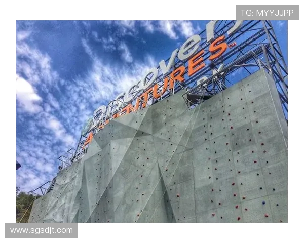 杭州攀岩队战术深度解析探索攀岩运动的团队协作与技术运用