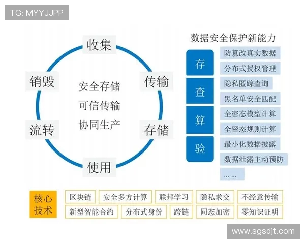 武汉网球队实力分析与发展潜力探讨：数据背后的故事与启示