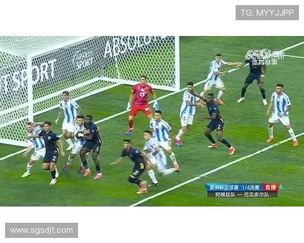 2020年阿根廷与厄瓜多尔激战回顾：精彩瞬间与战术分析